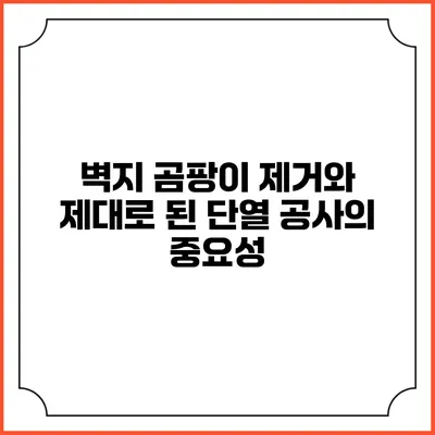 벽지 곰팡이 제거와 제대로 된 단열 공사의 중요성