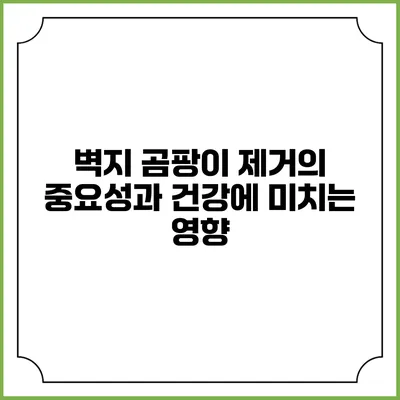 벽지 곰팡이 제거의 중요성과 건강에 미치는 영향