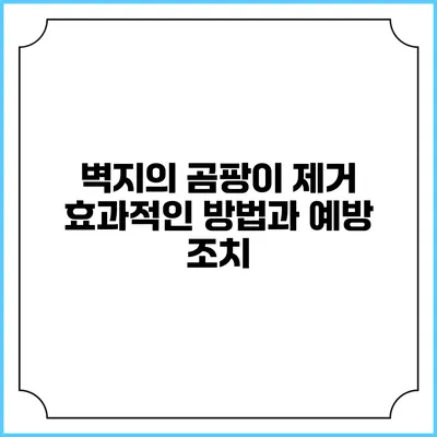 벽지의 곰팡이 제거: 효과적인 방법과 예방 조치