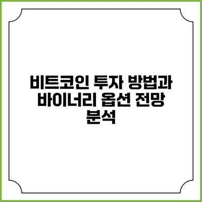 비트코인 투자 방법과 바이너리 옵션 전망 분석