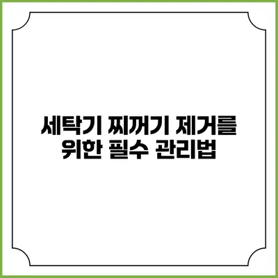 세탁기 찌꺼기 제거를 위한 필수 관리법