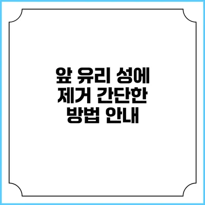 앞 유리 성에 제거 간단한 방법 안내