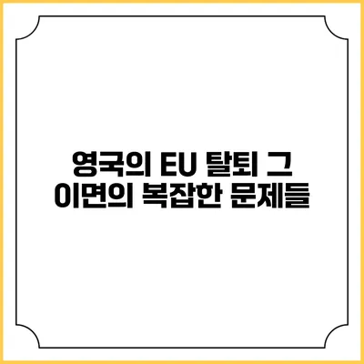 영국의 EU 탈퇴: 그 이면의 복잡한 문제들