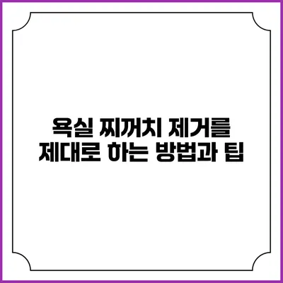 욕실 찌꺼치 제거를 제대로 하는 방법과 팁
