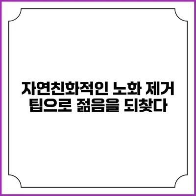 자연친화적인 노화 제거 팁으로 젊음을 되찾다