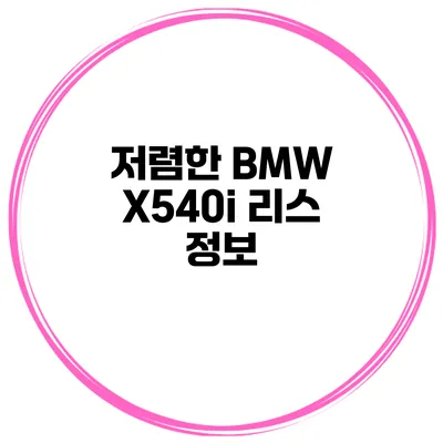 저렴한 BMW X540i 리스 정보