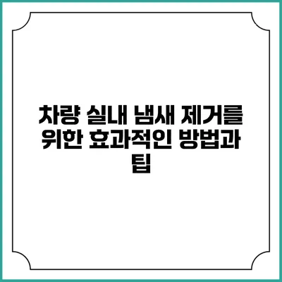 차량 실내 냄새 제거를 위한 효과적인 방법과 팁